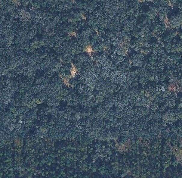 0.23 Acres of Residential Land for Sale in Inverness, Florida