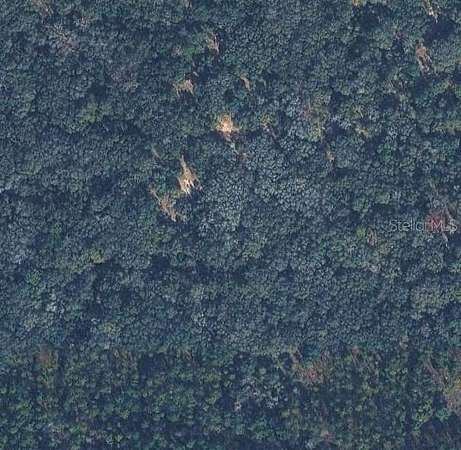 0.23 Acres of Residential Land for Sale in Inverness, Florida