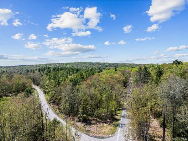 45 Acres of Land for Sale in Fallsburg, New York