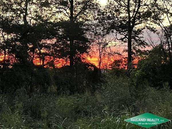 355 Acres of Recreational & Residential Land for Sale in Winnsboro, Louisiana