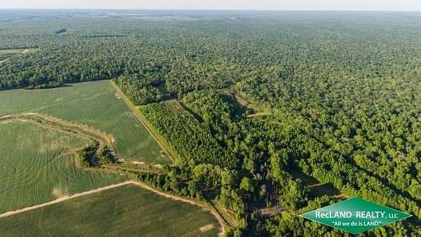 355 Acres of Recreational & Residential Land for Sale in Winnsboro, Louisiana