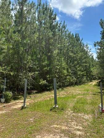 6 Acres of Residential Land for Sale in Carriere, Mississippi