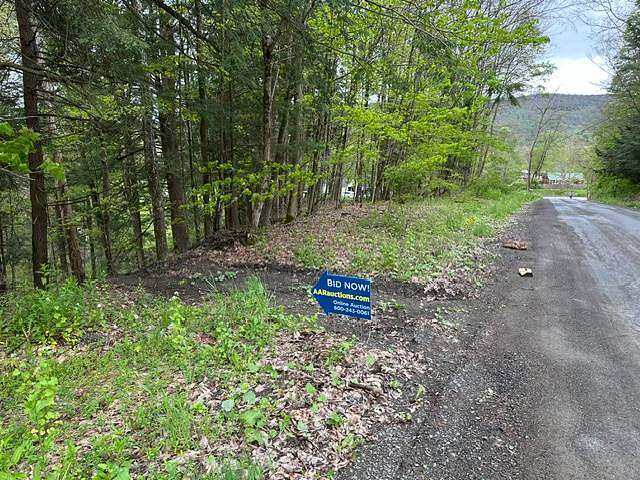 0.31 Acres of Residential Land for Auction in Butternuts Town, New York