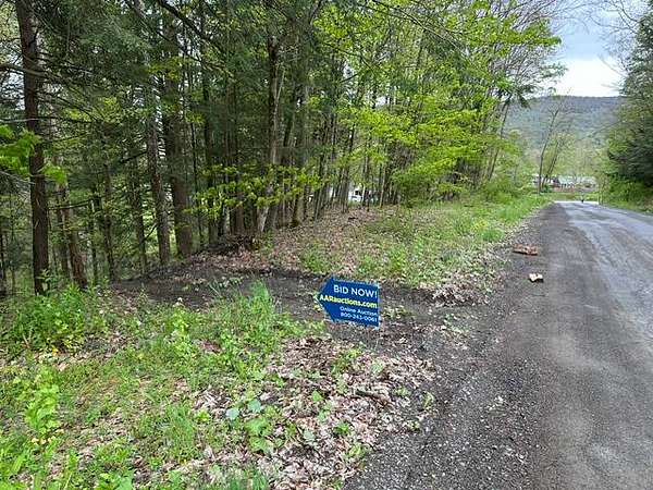 0.31 Acres of Residential Land for Auction in Butternuts Town, New York
