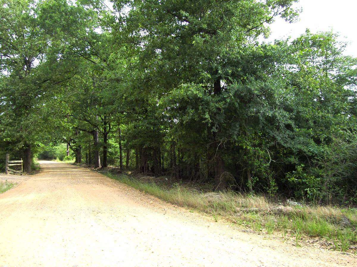 65 Acres of Land for Sale in Ashdown, Arkansas