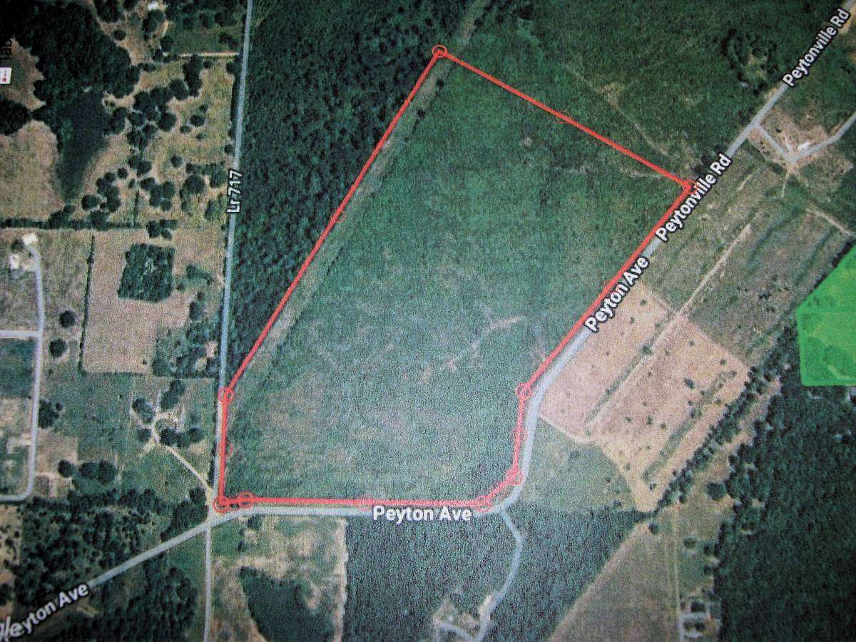 65 Acres of Land for Sale in Ashdown, Arkansas