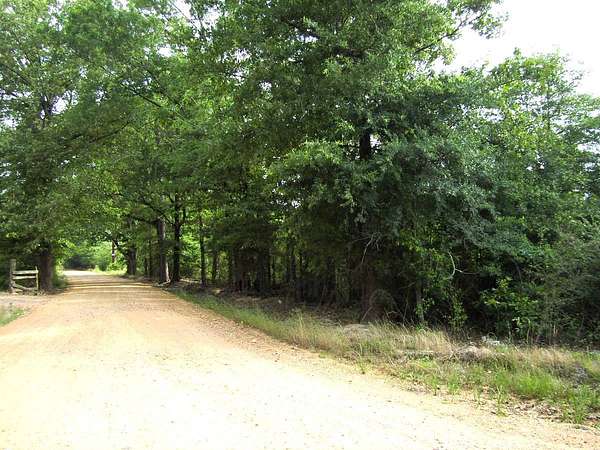 65 Acres of Land for Sale in Ashdown, Arkansas