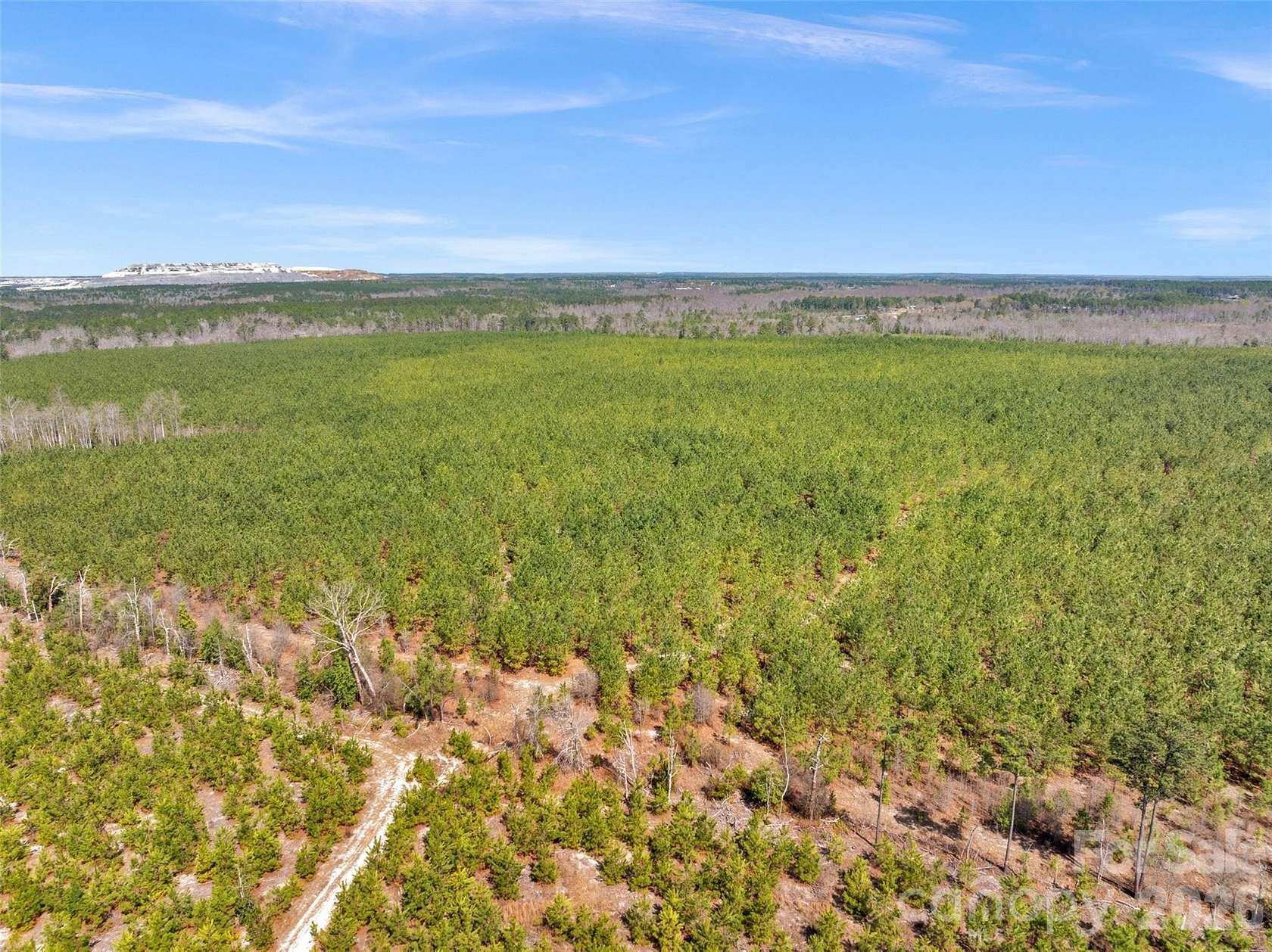 17.5 Acres of Land for Sale in Kershaw, South Carolina