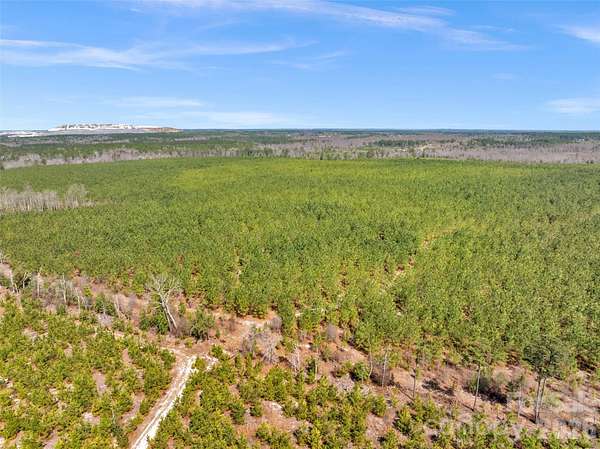 17.5 Acres of Land for Sale in Kershaw, South Carolina