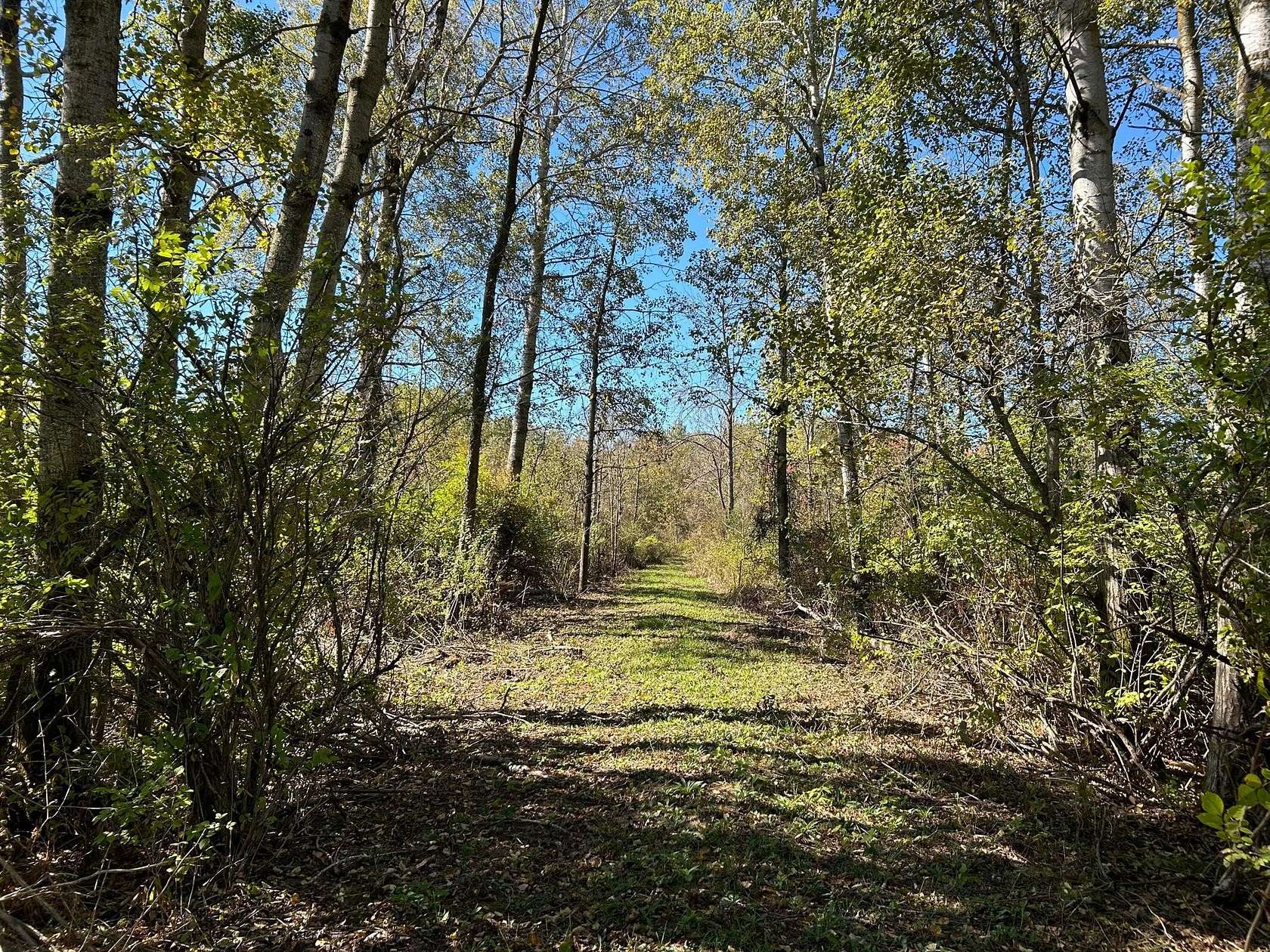 35.8 Acres of Recreational Land for Sale in Remus, Michigan