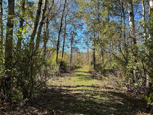 35.8 Acres of Recreational Land for Sale in Remus, Michigan