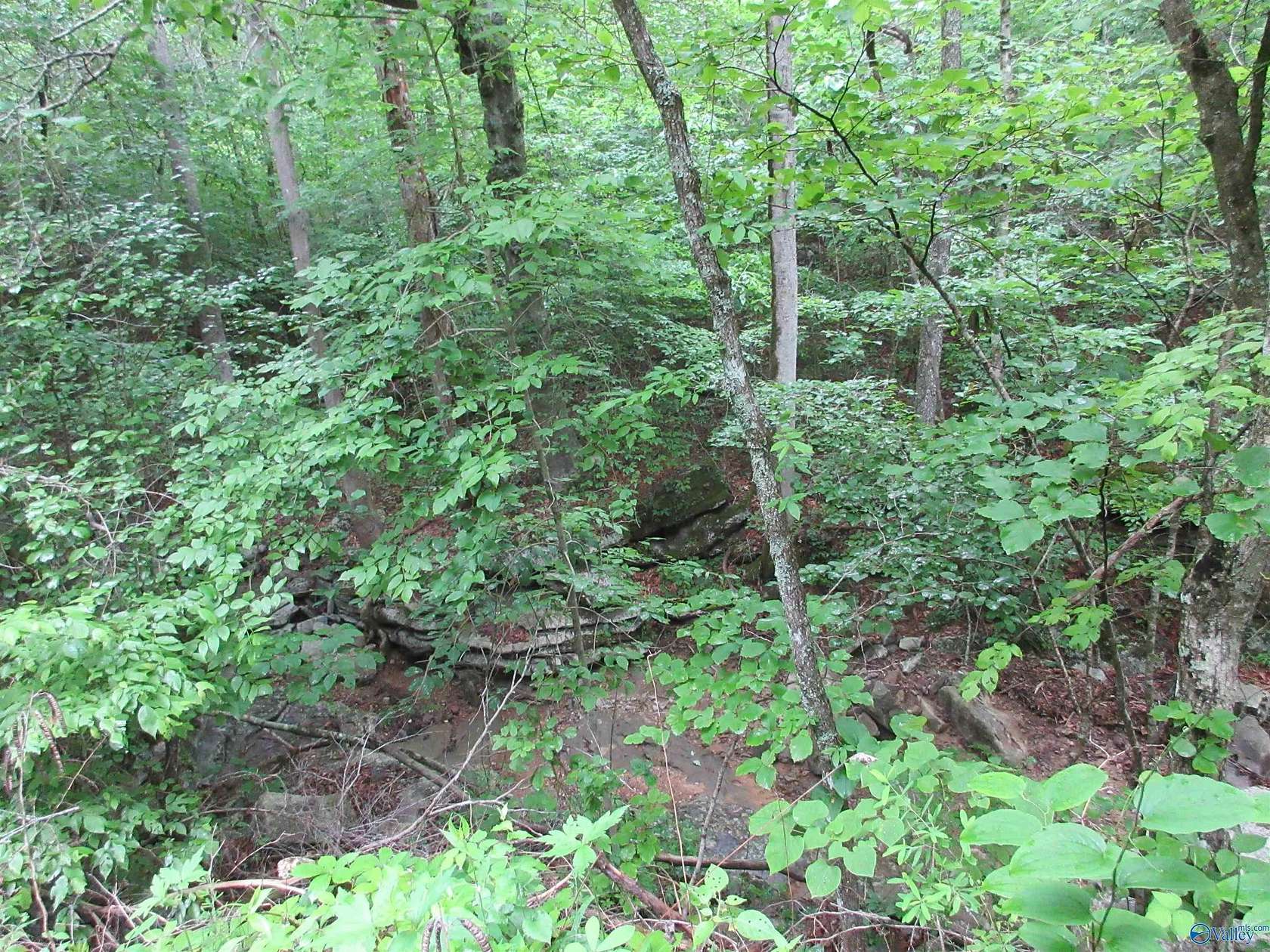 1 Acre of Land for Sale in Hollywood, Alabama