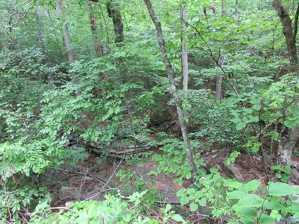 1 Acre of Land for Sale in Hollywood, Alabama