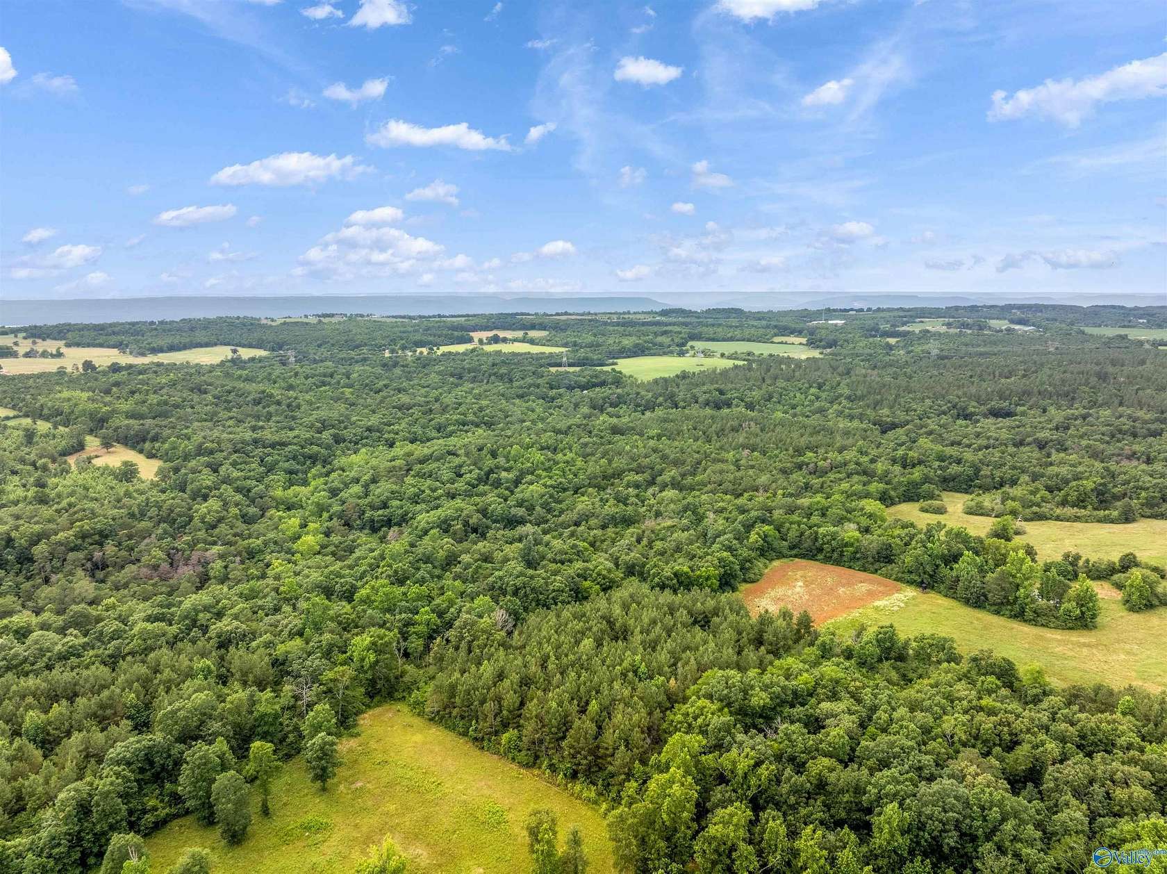 49.5 Acres of Recreational & Residential Land for Sale in Section, Alabama