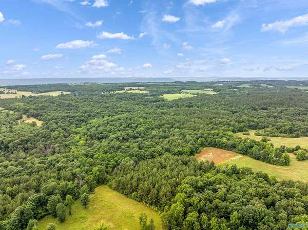 49.5 Acres of Recreational & Residential Land for Sale in Section, Alabama