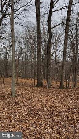 5 Acres of Land for Sale in Winchester, Virginia