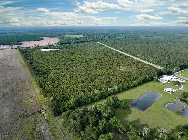60 Acres of Recreational & Residential Land for Sale in Kountze, Texas
