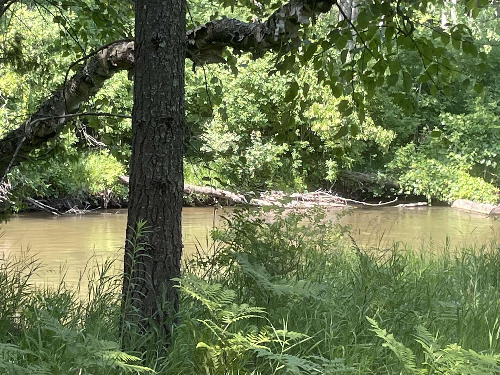 0.83 Acres of Residential Land for Sale in Hillman, Michigan