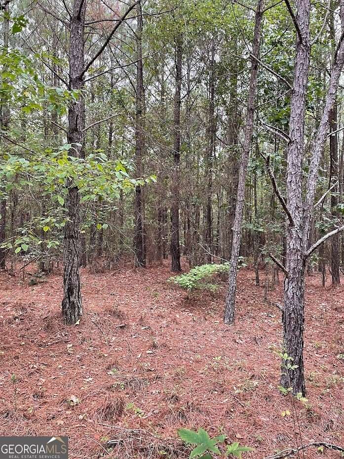 54.9 Acres of Recreational Land for Sale in Fairburn, Georgia
