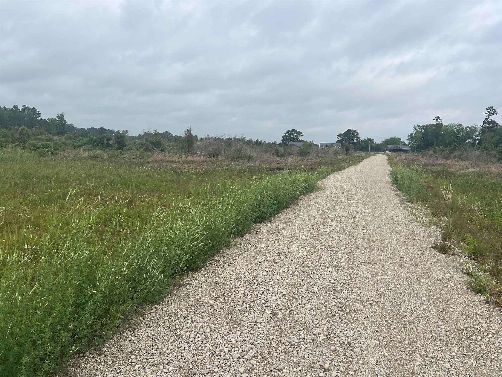 61.3 Acres of Recreational Land for Sale in De Berry, Texas