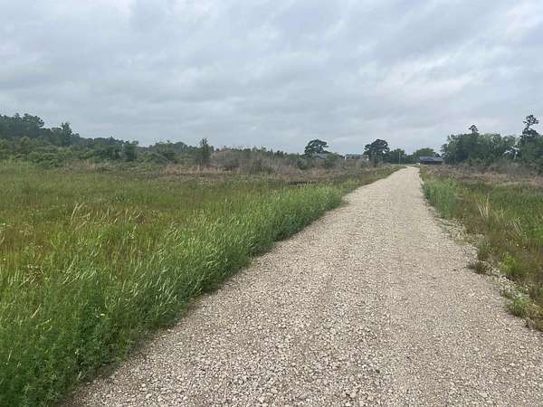 61.3 Acres of Recreational Land for Sale in De Berry, Texas