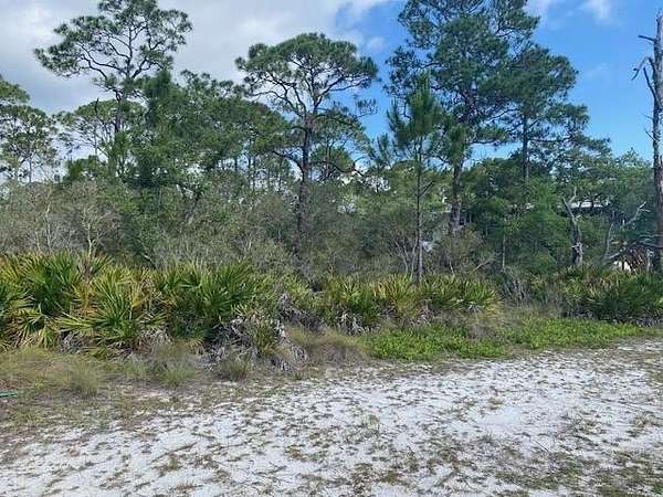 0.5 Acres of Residential Land for Sale in Panacea, Florida