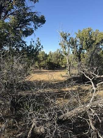 12.8 Acres of Recreational & Residential Land for Sale in Ramah, New Mexico