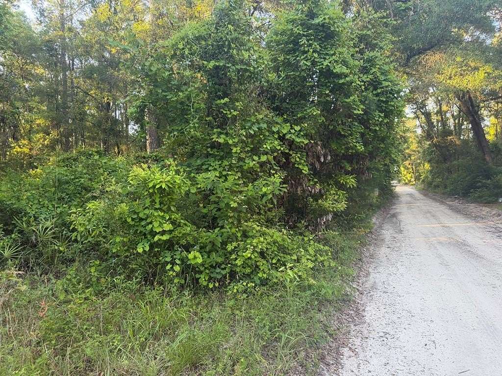 0.24 Acres of Residential Land for Sale in Fanning Springs, Florida