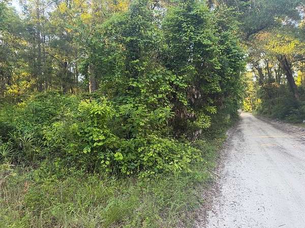 0.24 Acres of Residential Land for Sale in Fanning Springs, Florida