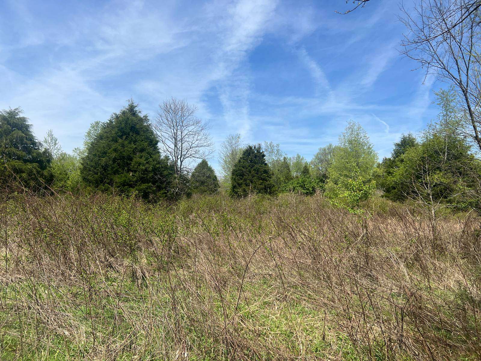 110 Acres of Land for Sale in Beaver Dam, Kentucky