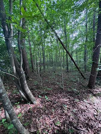 0.23 Acres of Residential Land for Sale in Crossville, Tennessee