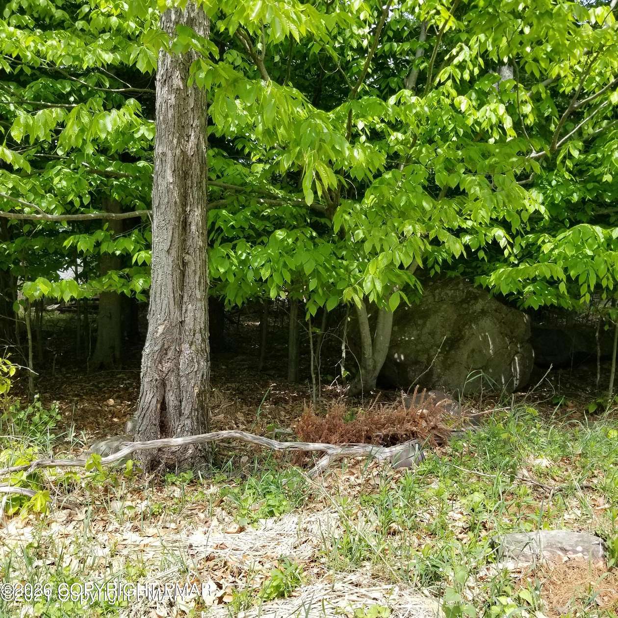 0.2 Acres of Residential Land for Sale in Tobyhanna, Pennsylvania