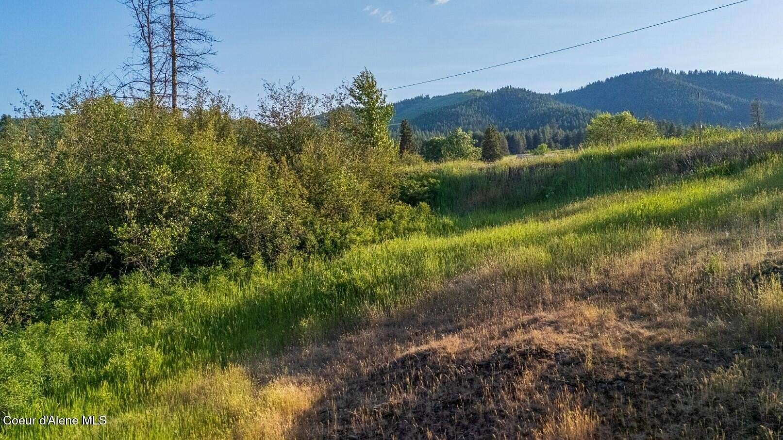 0.55 Acres of Land for Sale in Fernwood, Idaho