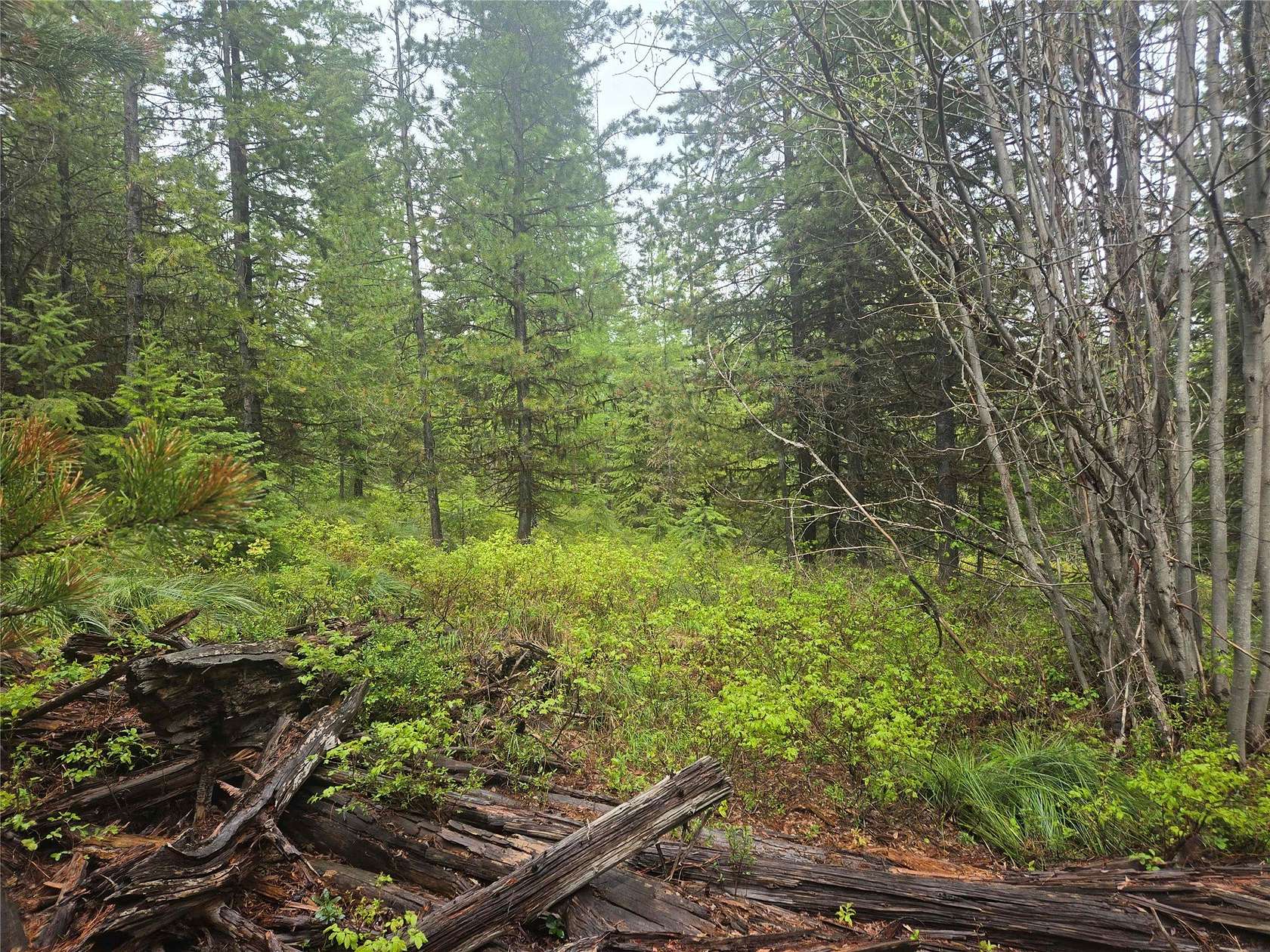 17 Acres of Recreational Land for Sale in Huson, Montana