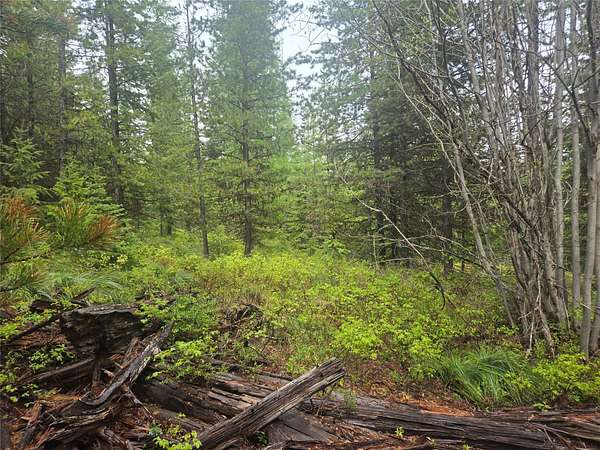 17 Acres of Recreational Land for Sale in Huson, Montana