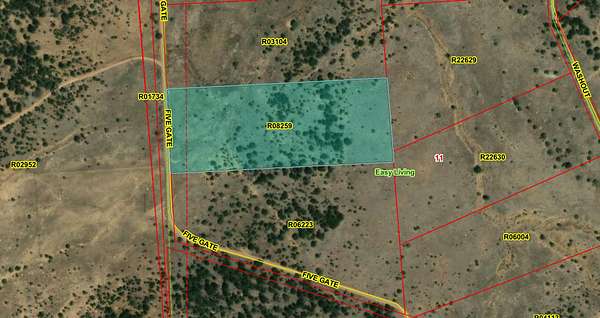 10 Acres of Recreational & Residential Land for Sale in Ramah, New Mexico