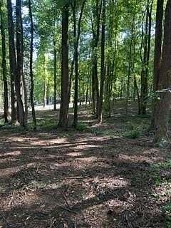 3 Acres of Residential Land for Sale in Hiram, Georgia