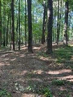 3 Acres of Residential Land for Sale in Hiram, Georgia