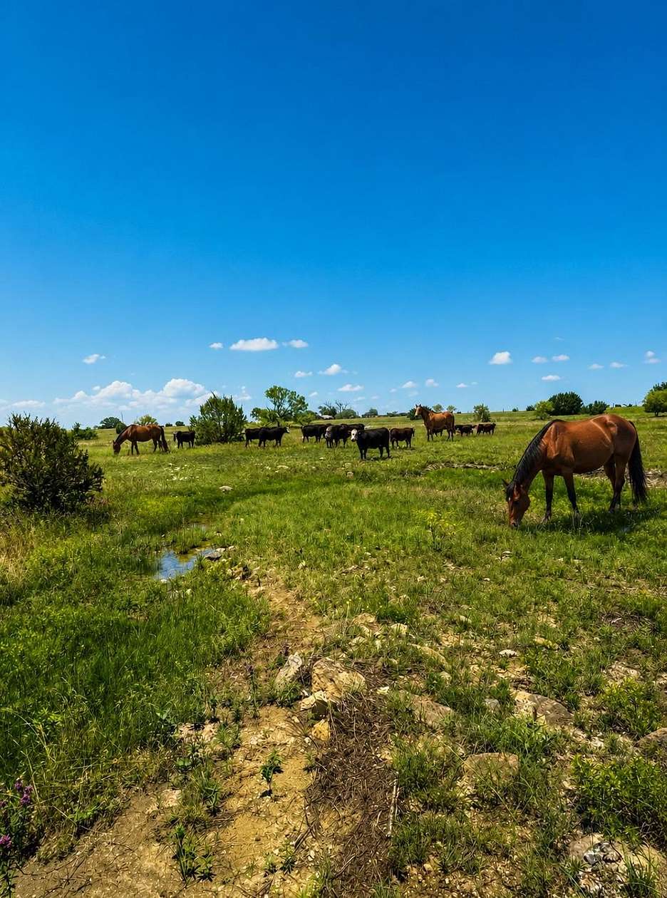 10 Acres of Recreational & Residential Land for Sale in Hamilton, Texas