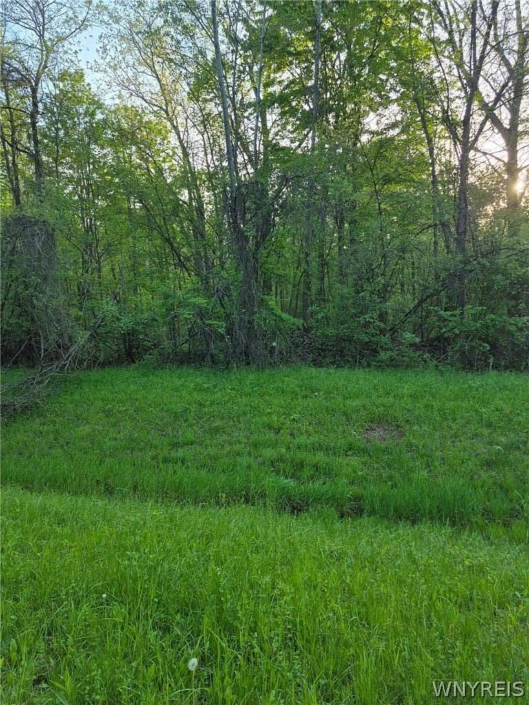 14.7 Acres of Recreational Land for Sale in Gasport, New York