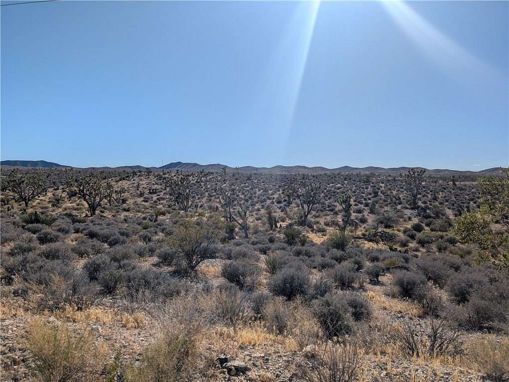 1.25 Acres of Mixed-Use Land for Sale in Meadview, Arizona