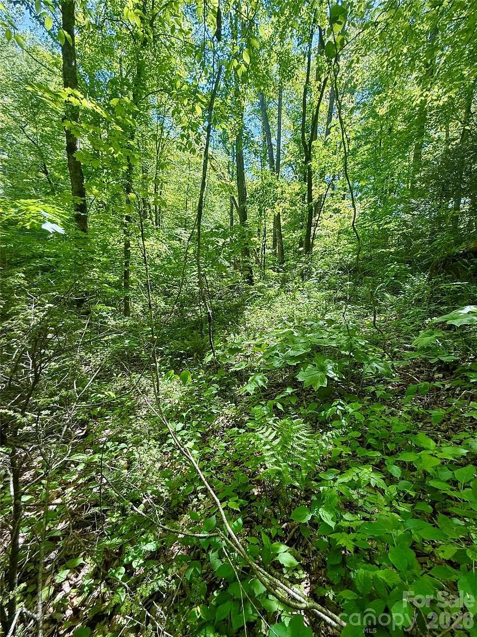 0.48 Acres of Residential Land for Sale in Glenville, North Carolina