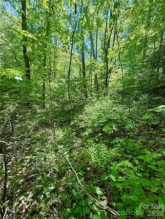0.48 Acres of Residential Land for Sale in Glenville, North Carolina