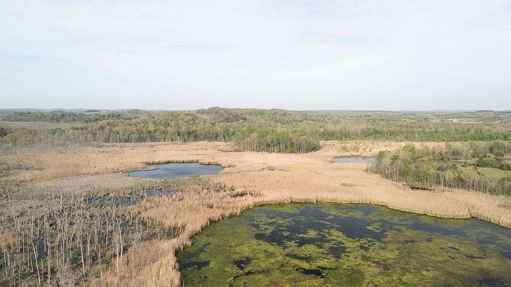 100 Acres of Recreational Land for Sale in Drakesboro, Kentucky
