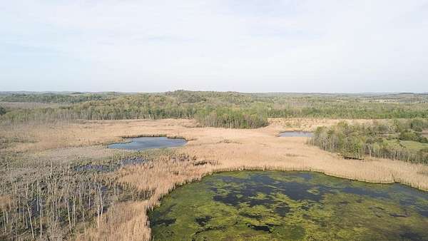 100 Acres of Recreational Land for Sale in Drakesboro, Kentucky