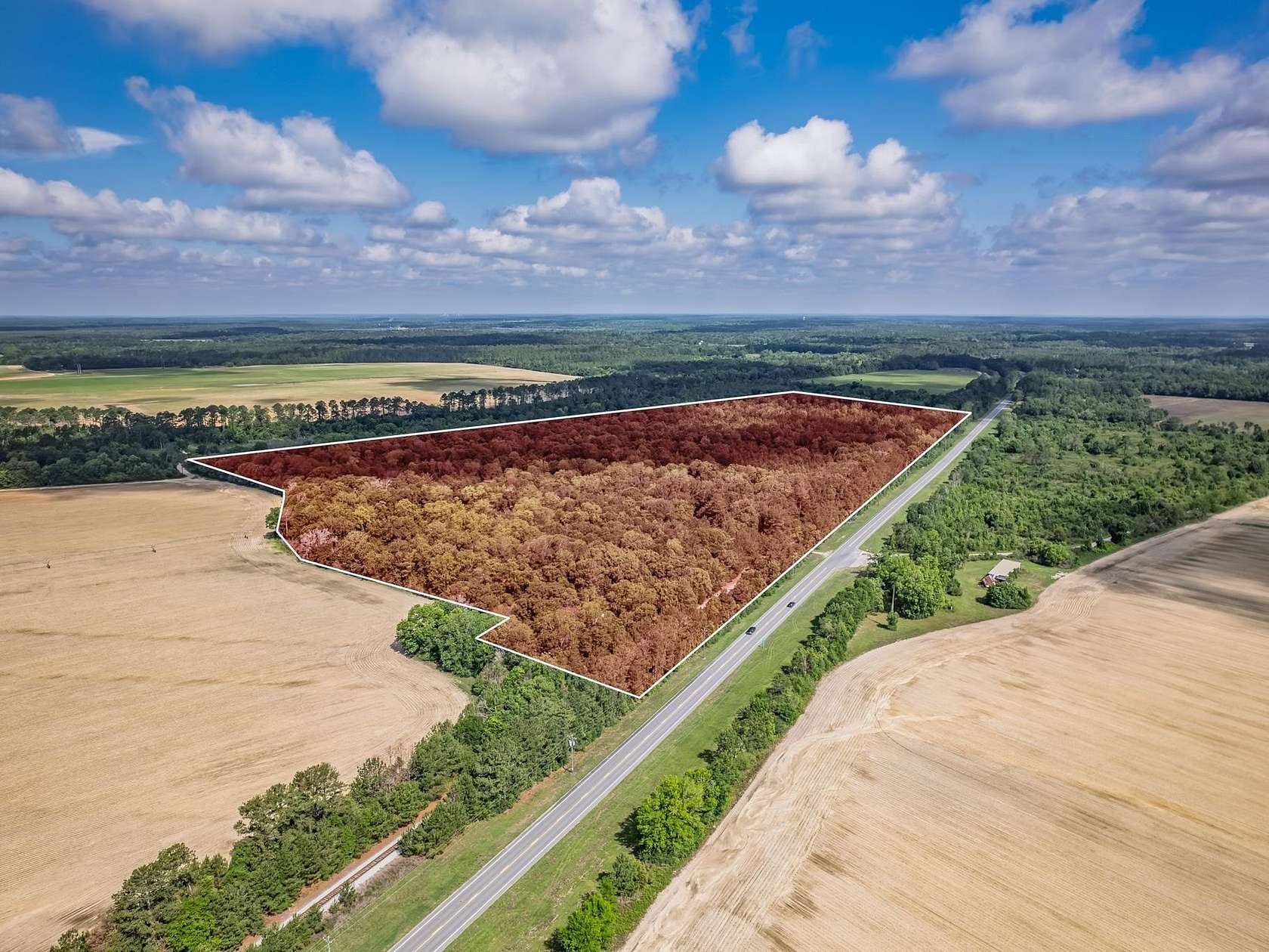 87.6 Acres of Recreational Land for Sale in Quincy, Florida