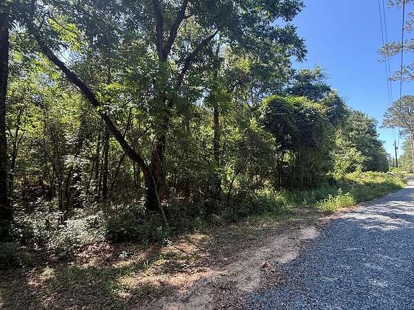 10 Acres of Recreational & Residential Land for Sale in Baconton, Georgia