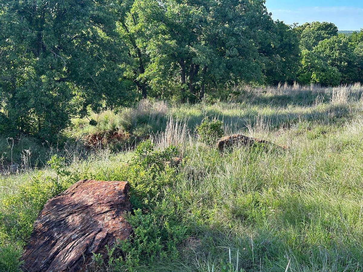 21 Acres of Recreational Land for Sale in Loco, Oklahoma