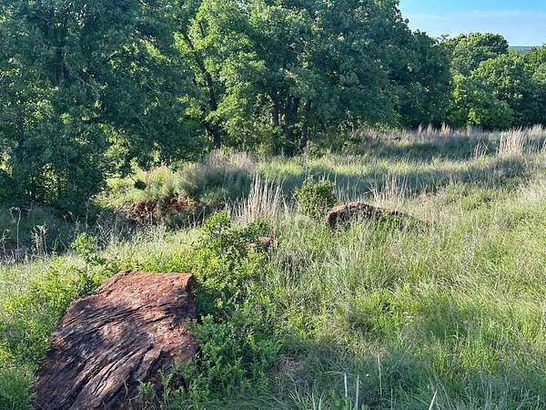21 Acres of Recreational Land for Sale in Loco, Oklahoma