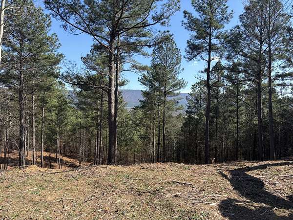 10 Acres of Land for Sale in Etowah, Tennessee